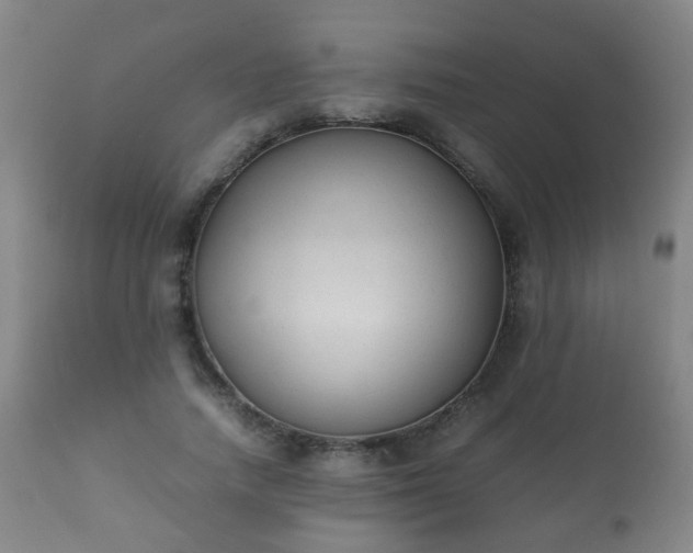 X0000112410738200908211121