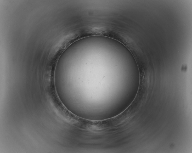 X0000112410739200908211121