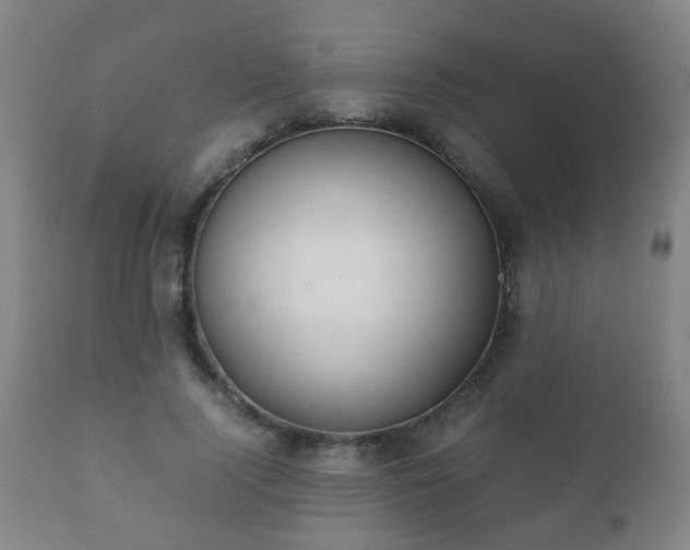X0000112410740200908211121
