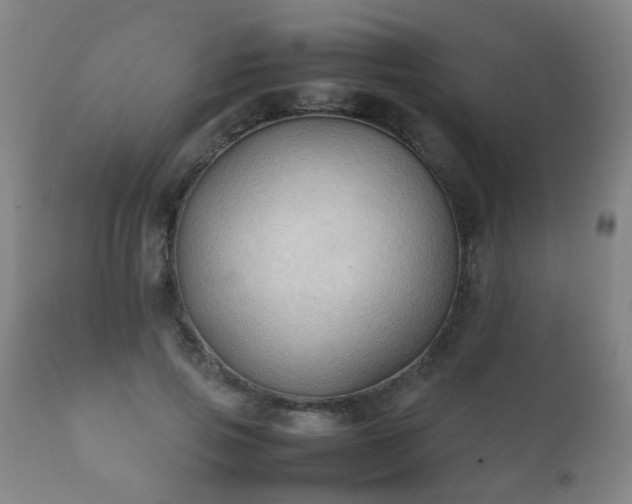 X0000112410741200908211121
