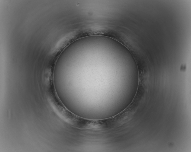 X0000112410742200908211121