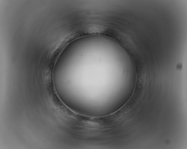 X0000112410743200908211121