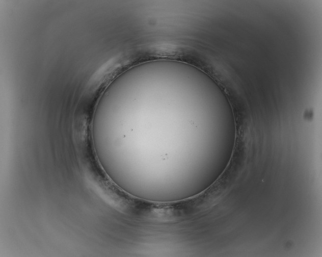 X0000112410744200908211121