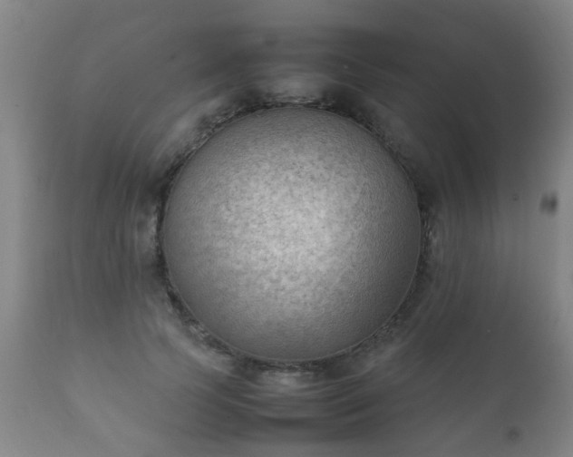 X0000112410745200908211121