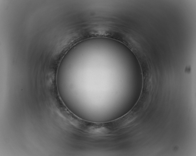 X0000112410747200908211121