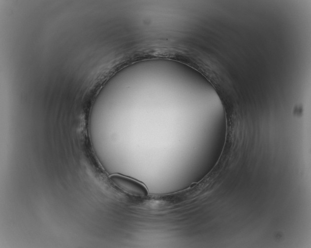 X0000112410748200908211121