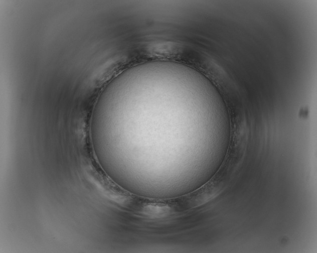 X0000112410749200908211122