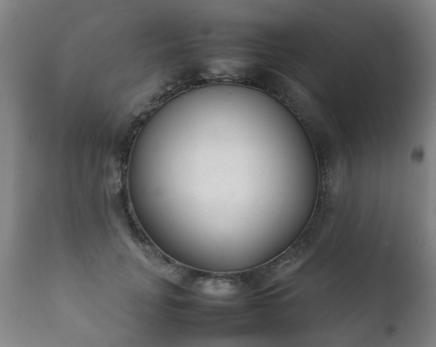 X0000112410751200908211122