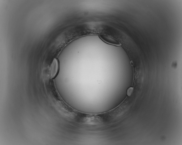 X0000112410752200908211122