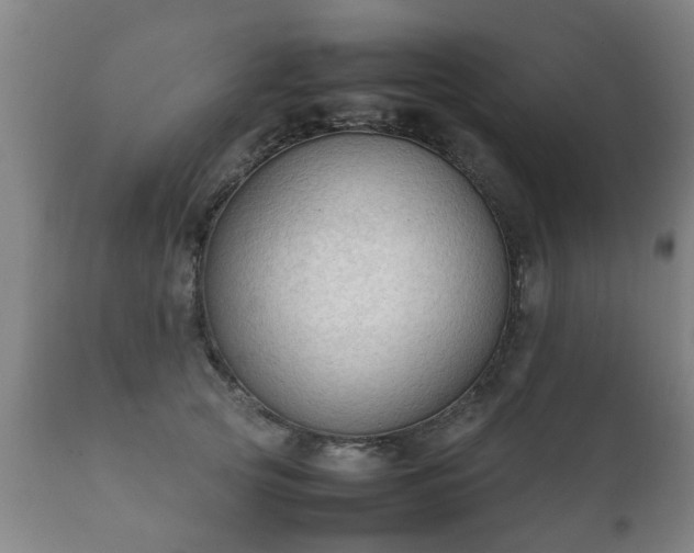 X0000112410753200908211122