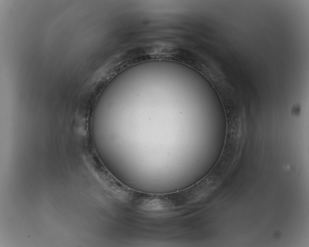 X0000112410755200908211122