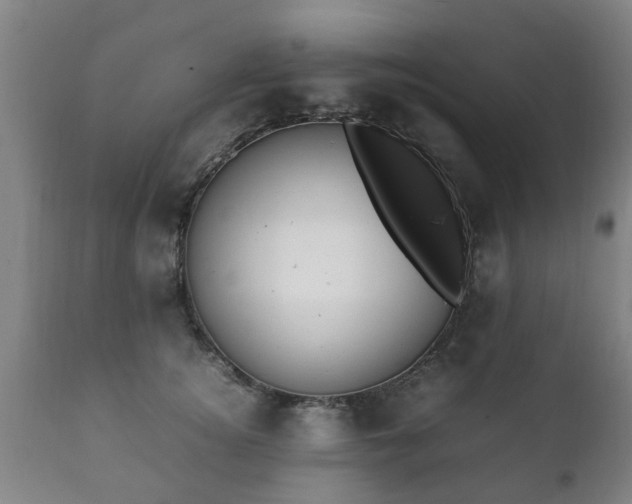 X0000112410756200908211122