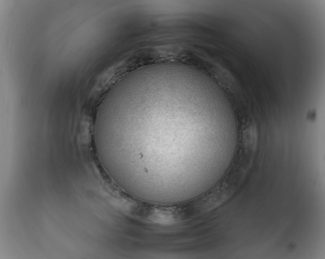 X0000112410757200908211122