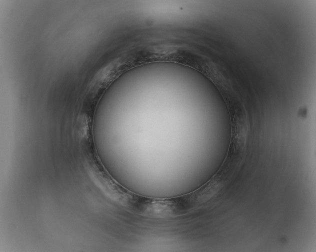 X0000112410758200908211122