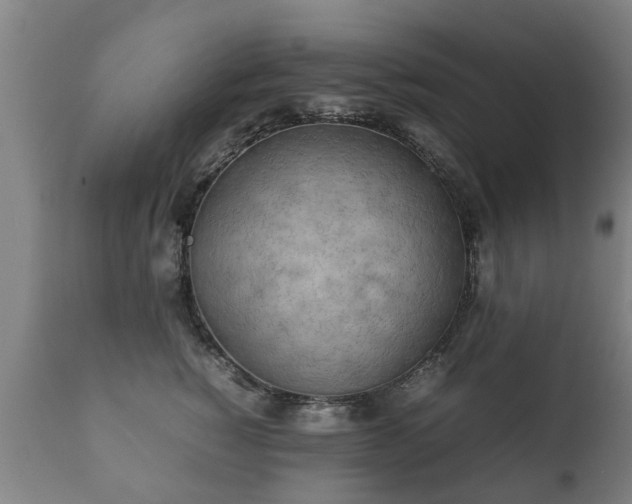 X0000112410760200908211122