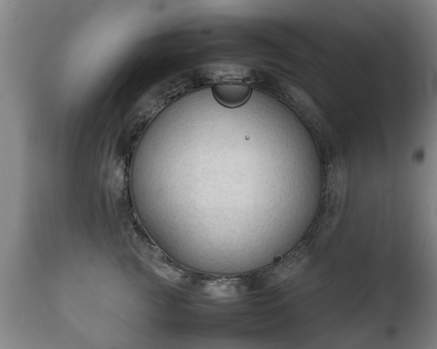X0000112410761200908211122
