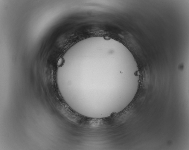 X0000112410762200908211122