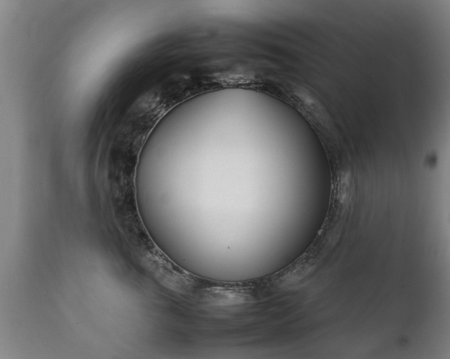 X0000112410763200908211122