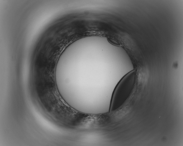 X0000112410764200908211122