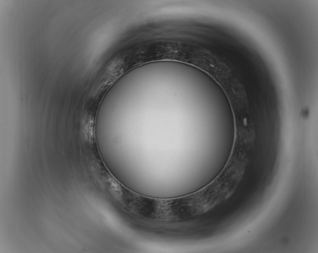 X0000112410766200908211122