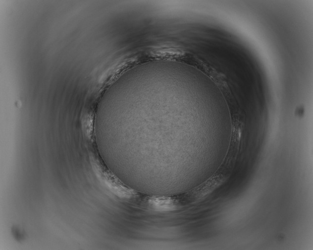 X0000112410767200908211122