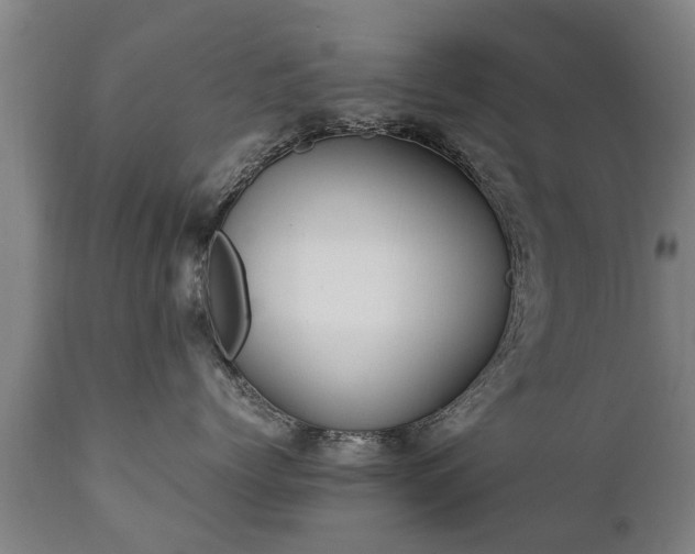 X0000112410768200908211122