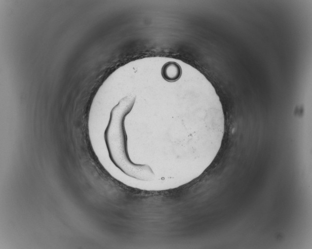 X0000112410769200908211121