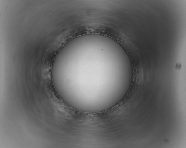 X0000112410770200908211121