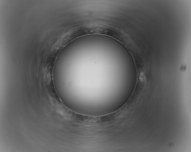 X0000112410771200908211121