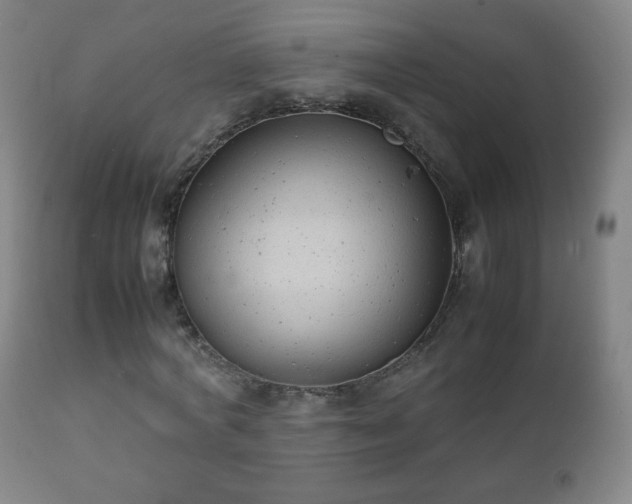 X0000112410772200908211121