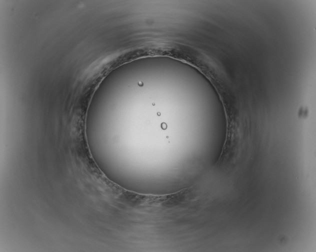 X0000112410773200908211121