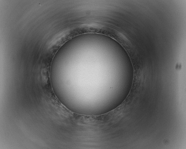 X0000112410774200908211121
