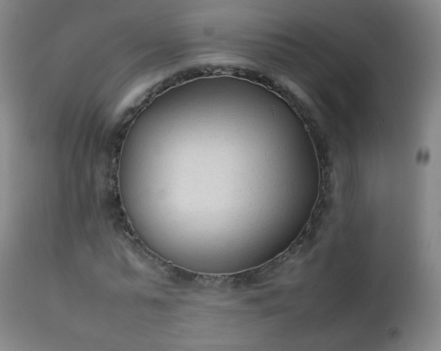 X0000112410775200908211121