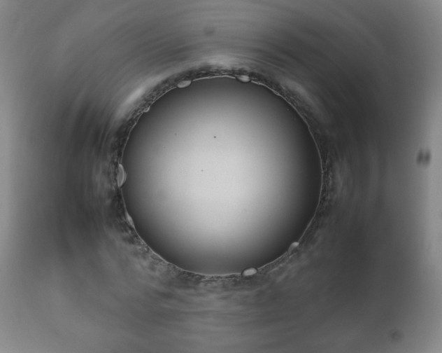 X0000112410776200908211121