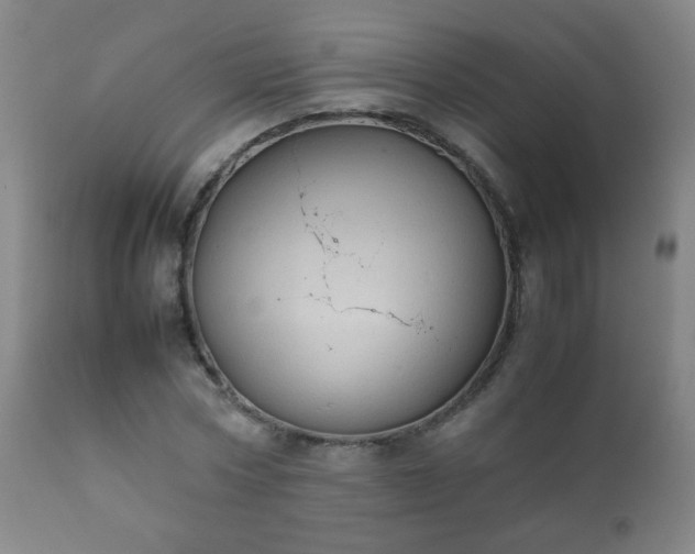 X0000112410778200908211121