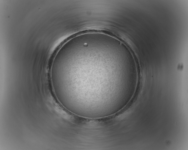 X0000112410779200908211121