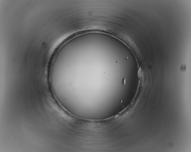 X0000112410780200908211121