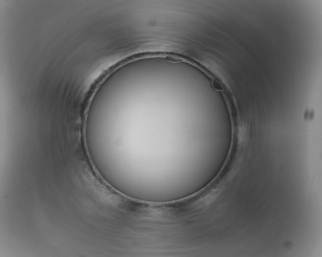X0000112410781200908211121