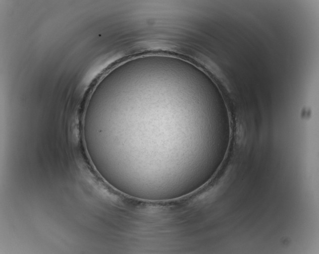 X0000112410782200908211121
