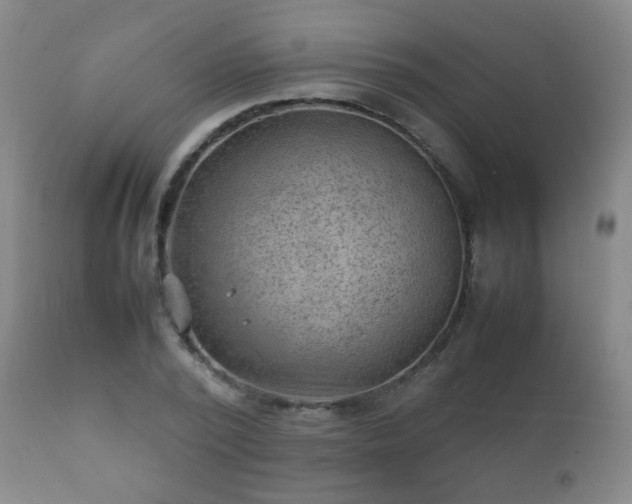 X0000112410784200908211121
