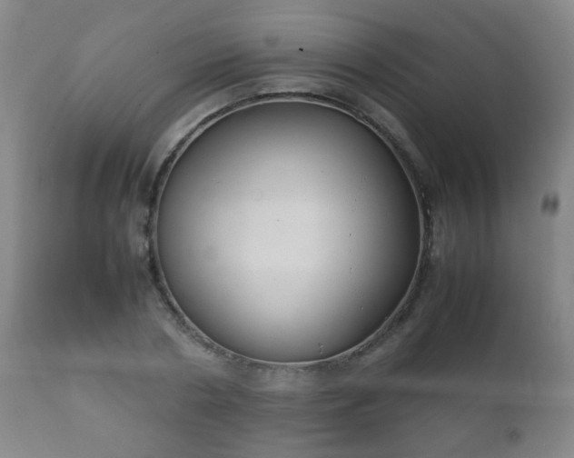 X0000112410786200908211121