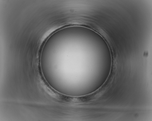 X0000112410787200908211121