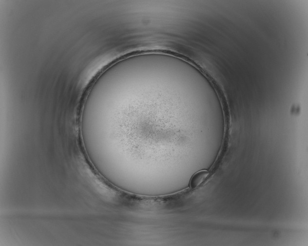 X0000112410789200908211121