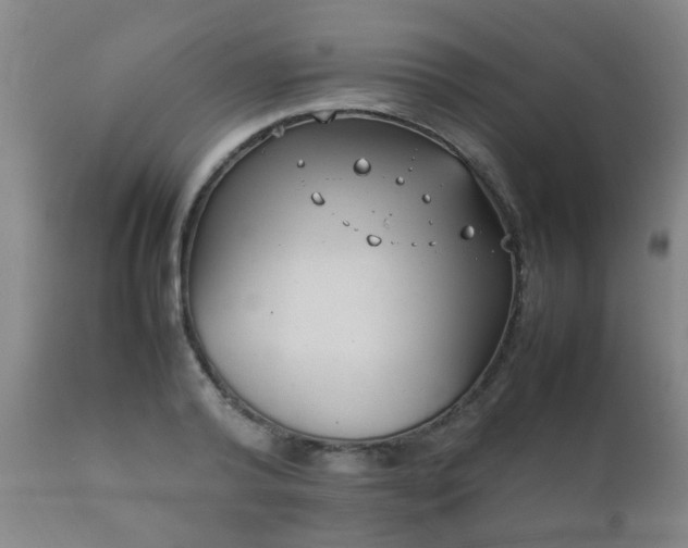 X0000112410792200908211121