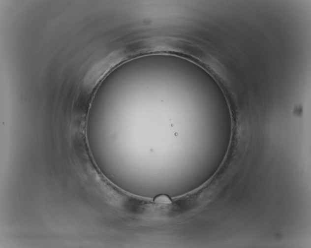 X0000112410793200908211121