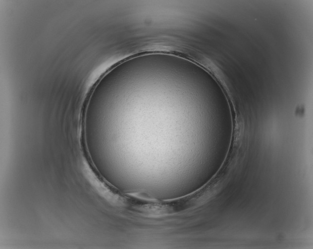 X0000112410795200908211121
