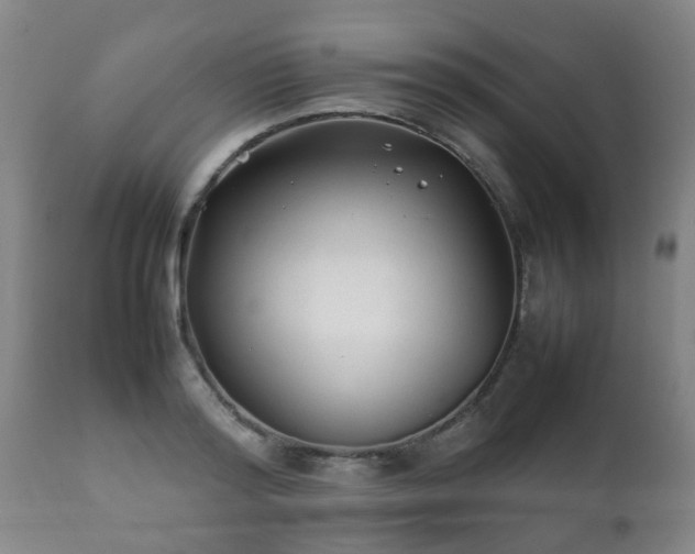 X0000112410796200908211121