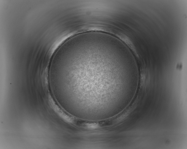 X0000112410798200908211121