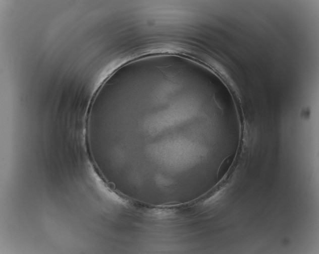 X0000112410802200908211121