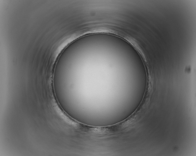 X0000112410805200908211121